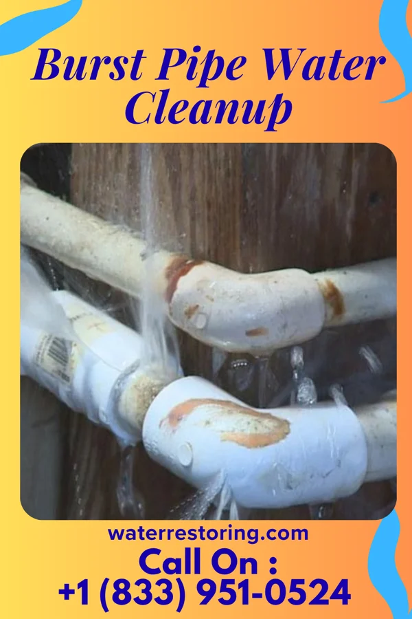 Burst Pipe Water Cleanup in Olyphant, PA