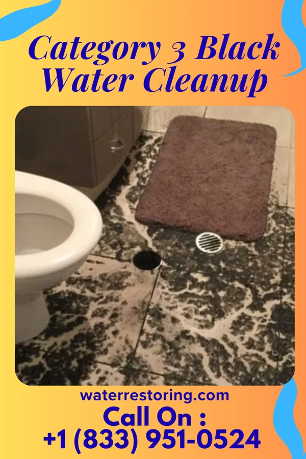 Category 3 Black Water Cleanup in Olyphant, PA
