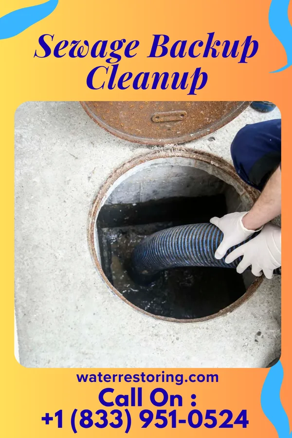 Sewage Backup Cleanup in Olyphant, PA