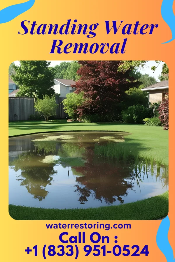 Standing Water Removal in Olyphant, PA